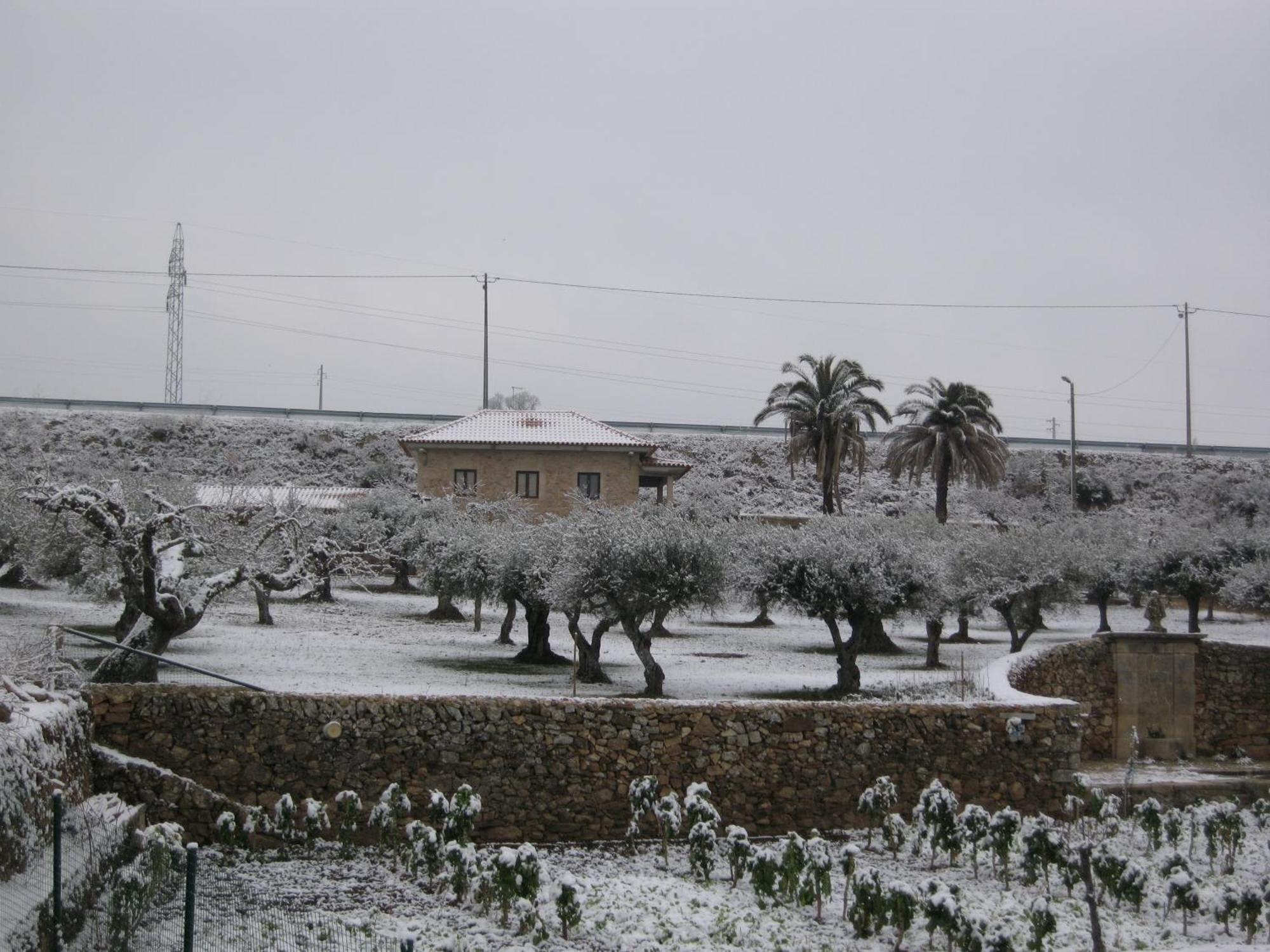 Quinta Das Pias - Holiday Farm بينهل المظهر الخارجي الصورة