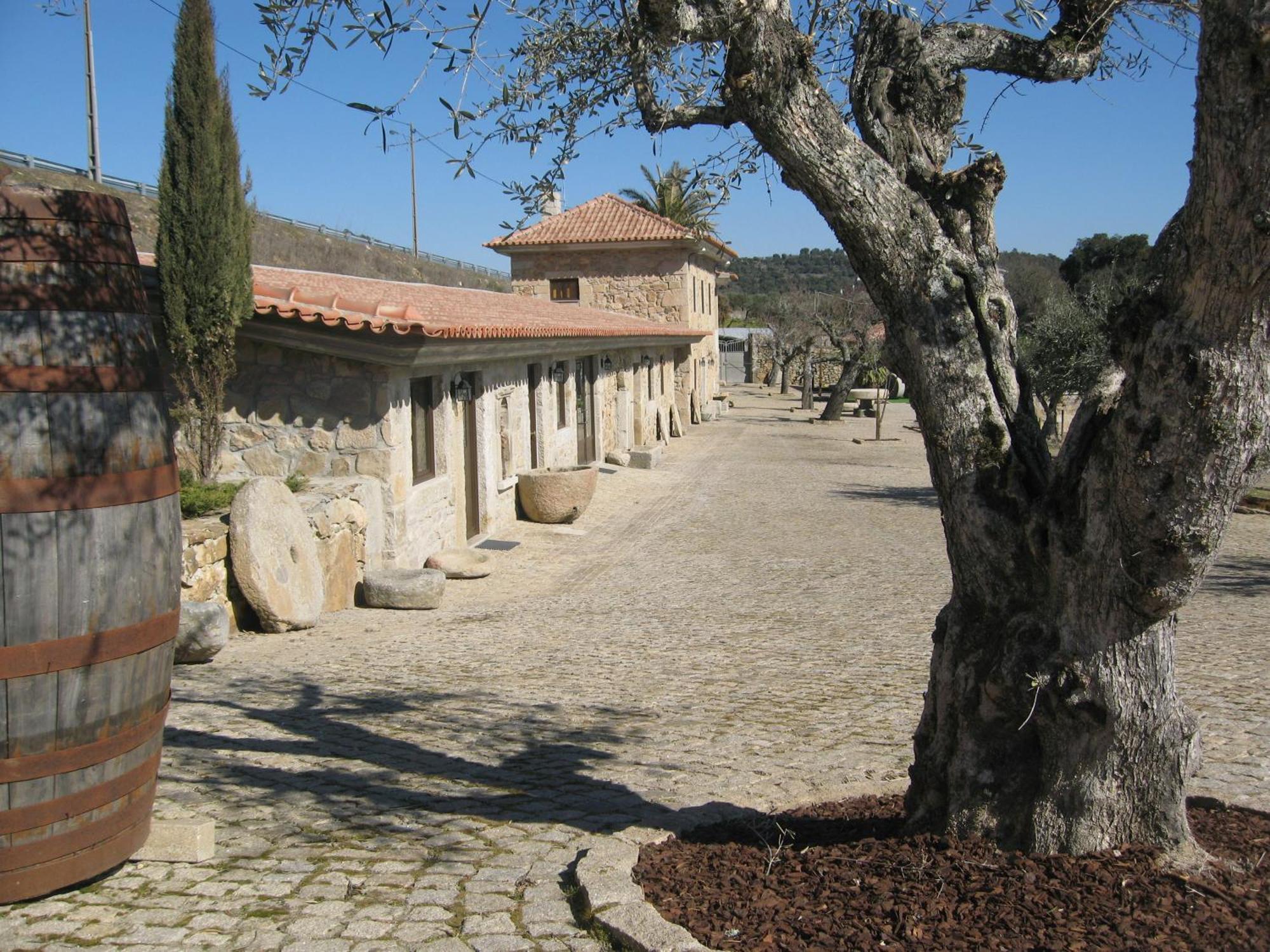 Quinta Das Pias - Holiday Farm بينهل المظهر الخارجي الصورة