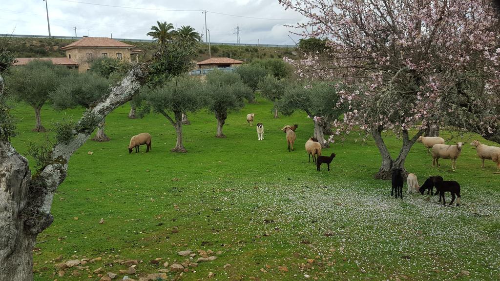 Quinta Das Pias - Holiday Farm بينهل المظهر الخارجي الصورة